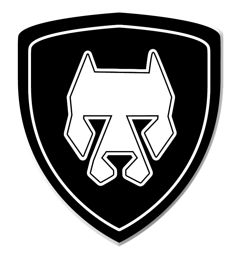 Seguridad Profesional A1